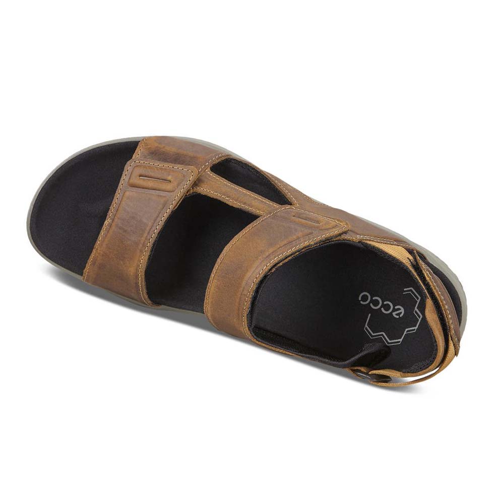 Men's Ecco X-trinsic Flat Sandals Brown | Canada 592LIS